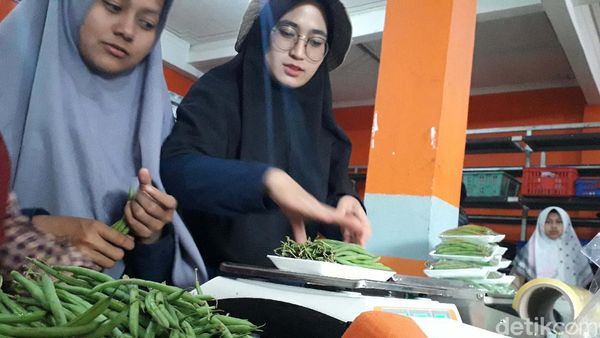 Keren, Produk Pertanian Kerjasama RI-Jepang Masuk Pasar Modern