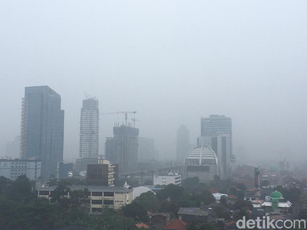 Hujan Deras Guyur Jakarta, Pengendara Diminta Waspada Banjir-Pohon Tumbang Hujan Deras Guyur Jakarta, Pengendara Diminta Waspada Banjir-Pohon Tumbang