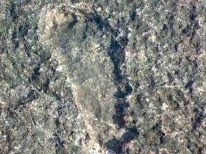 Jangan Kaget, Ada Tapak Kaki Hantu di Bangka Tengah