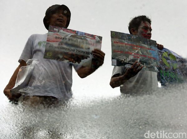 Aktivis Perlindungan Hewan Tuntut Jokowi Tutup Pasar Satwa Liar