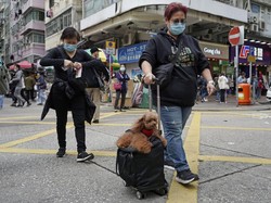 Selain Corona, Ini Ragam Penyakit Mematikan yang Berawal dari Hewan