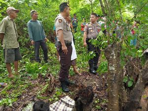 Petani di Sulsel Ditemukan Tewas Tersengat Listrik Penghalau Hama Babi Petani di Sulsel Ditemukan Tewas Tersengat Listrik Penghalau Hama Babi