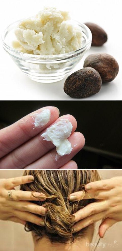 Shea Butter Bahan Alami Untuk Rambut  Sehat