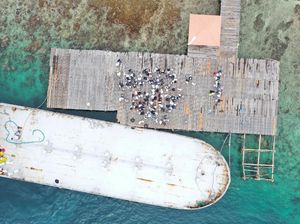 Momen WNI ABK Diamond Princess Dipindahkan ke Pulau Sebaru Kecil