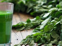 Sarat Mitos, Ternyata Daun Kelor Bisa Diolah Jadi Makanan Enak