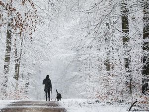 Eropa Lalui Musim Dingin Paling Hangat Sepanjang Sejarah