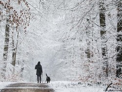 Eropa Lalui Musim Dingin Paling Hangat Sepanjang Sejarah