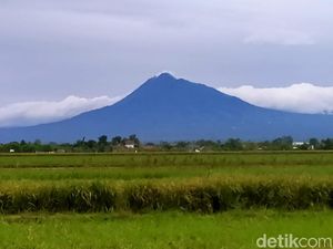 Kondisi Terkini Deformasi Gunung Merapi: Makin Pendek 2 Cm