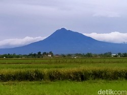 Kondisi Terkini Deformasi Gunung Merapi: Makin Pendek 2 Cm