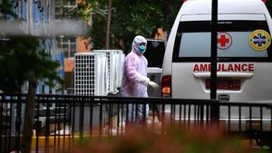 Perkembangan Penanganan Virus Corona di RI