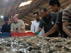 219 Petambak Udang Binaan Pertamina Dapat Kesempatan Ikut Sertifikasi