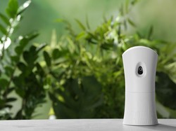 5 Tanaman Berbau Wangi untuk Pengharum Ruangan Alami