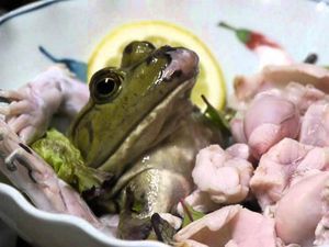 Terkait Virus Corona, Warga China Dilarang Makan Ular, Tikus dan Kura-kura Terkait Virus Corona, Warga China Dilarang Makan Ular, Tikus dan Kura-kura