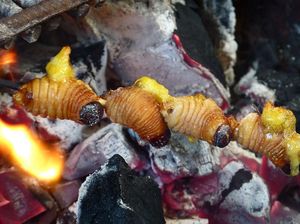 Berani Coba? Sate Ekstrem Dari Ulat hingga Buaya yang Hits