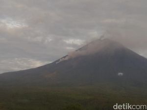 Gunung Semeru Masih Luncurkan Guguran Lava Pijar