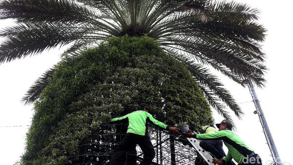 Aksi Petugas Menata Tanaman Hias di Kawasan Medan Merdeka