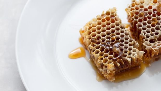 Bee propolis dari sarang lebah
