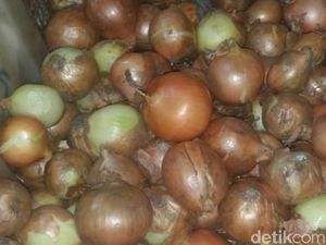Bikin Nangis, Harga Bawang Bombai di Cianjur Tembus Rp 140 Ribu Per Kg