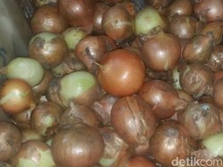 Bikin Nangis, Harga Bawang Bombai di Cianjur Tembus Rp 140 Ribu Per Kg