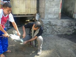 Pelajaran Toleransi dari Timur Indonesia