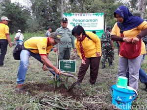 6 Jenis Pohon Langka Ditanam di Hutan Konservasi Gunung Merapi