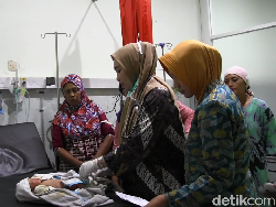 Dikira Suara Hantu, Bayi Dikerubuti Semut Ditemukan Menangis di Ladang Tebu