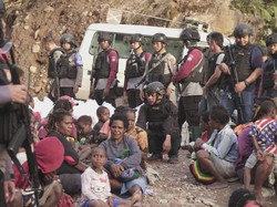 Resah Ulah KKSB, 258 Warga Banti-Opitawak Minta Dievakuasi ke Timika