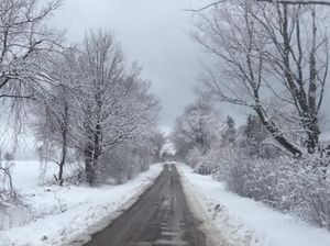 Musim Dingin Abadi Pernah Landa Bumi