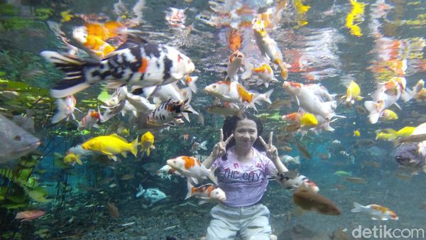 Pemandian Alam di Lumajang yang Bening Banget