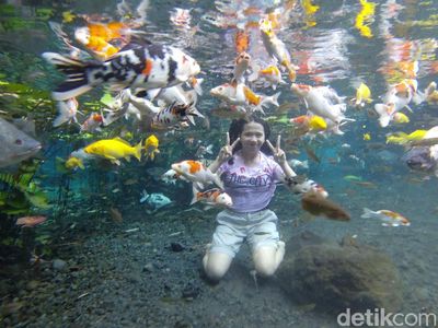 Pemandian Alam di Lumajang yang Bening Banget