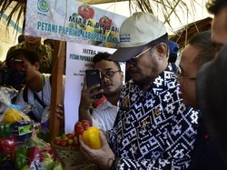 Mentan Minta BUMN Pupuk Buat Produk Berkualitas untuk Ekspor