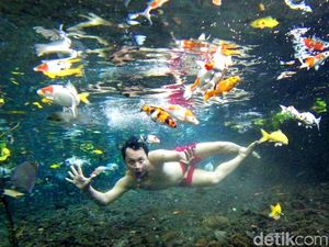 Asyik! Di Pemandian Ini Bisa Selfie Under Water Bareng Ikan