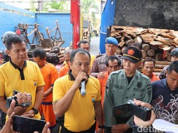 Empat Pelaku Pembalakan Liar di Banyuwangi Ditangkap