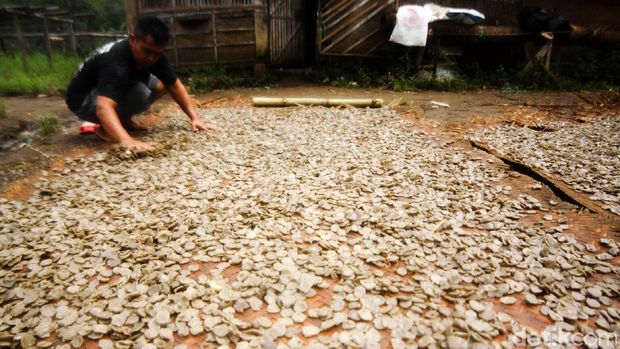 tips menggoreng kerupuk udang