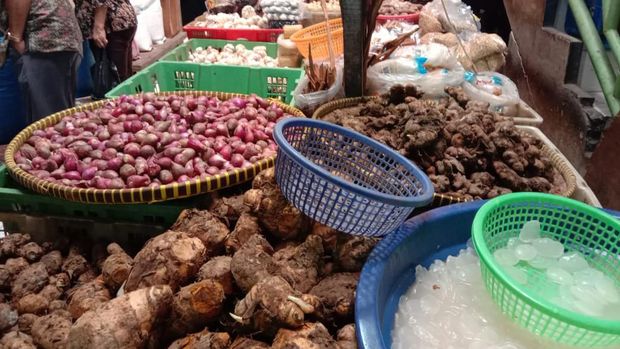 Tanaman jamu termasuk jahe merah harganya meroket