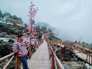 Sakura di Sibajag Green Canyon Temanggung