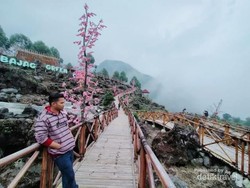 Sakura di Sibajag Green Canyon Temanggung