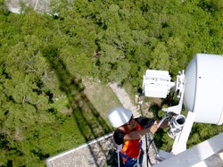 Perlukah Operator Telekomunikasi dapat Insentif Selama Pandemi Corona?