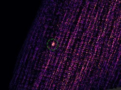 Penampakan Lubang Hitam Berjarak 30 Ribu Tahun Cahaya