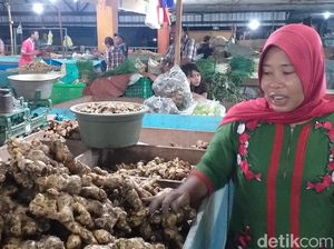 Perkenalkan Kencur Vanessa yang Dipercaya Bisa Cegah Virus Corona