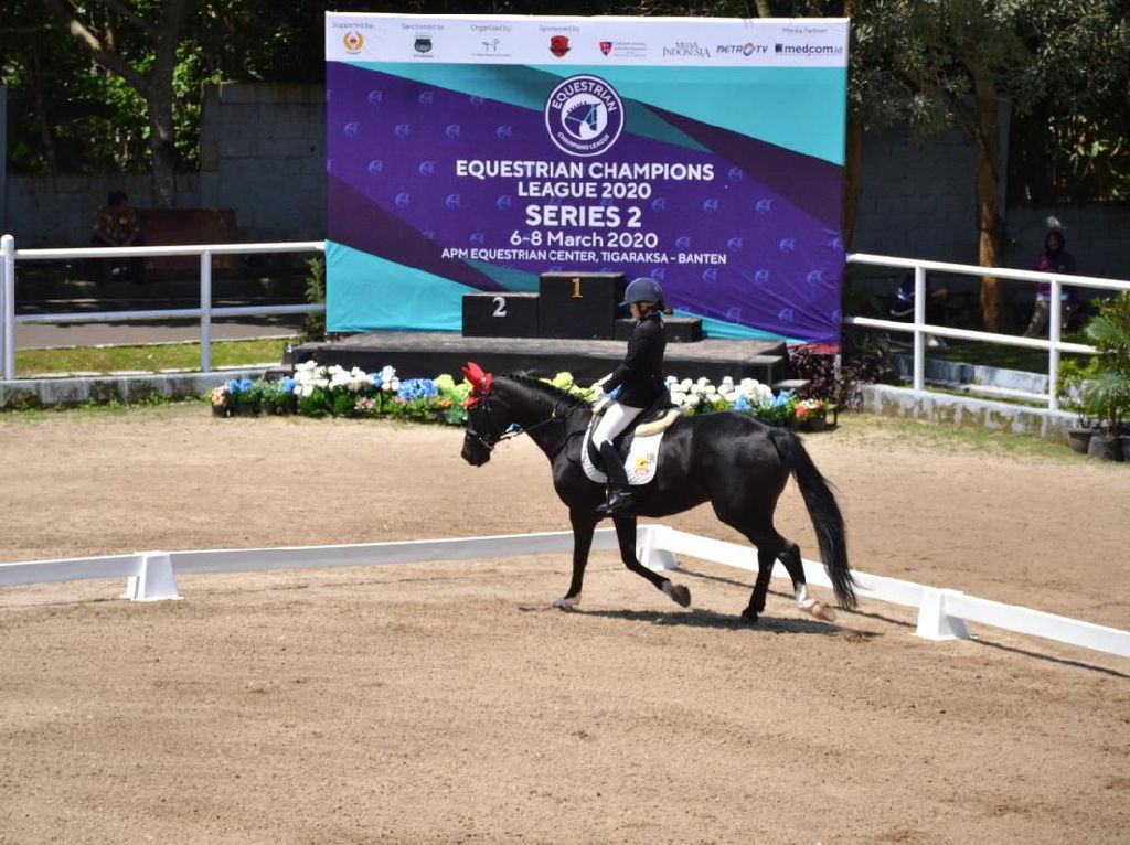Equestrian Champions League 2020 Tumbuhkan Minat Olahraga Berkuda Equestrian Champions League 2020 Tumbuhkan Minat Olahraga Berkuda
