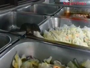 Jijik! 5 Rumah Sakit Ini Dikritik karena Sajikan Makanan Tak Layak Jijik! 5 Rumah Sakit Ini Dikritik karena Sajikan Makanan Tak Layak