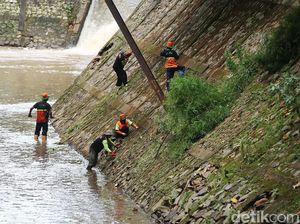 Aksi Petugas Bersih-bersih Kali Baru Timur