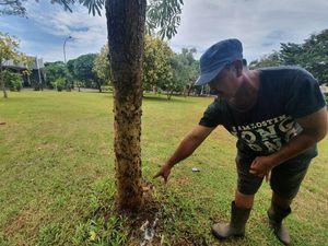 Ribuan Ulat Bulu Menyerang di Perumahan di Bekasi, Ini Penyebabnya