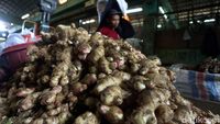 Harga Jahe di Pasar Kramat Jati Tembus Rp 70 Ribu