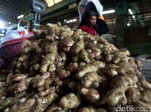 Harga Jahe di Pasar Kramat Jati Tembus Rp 70 Ribu Harga Jahe di Pasar Kramat Jati Tembus Rp 70 Ribu