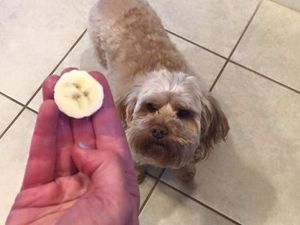 Seram dan Bikin Gemas, Makanan Ini Dipenuhi Wajah Aneh