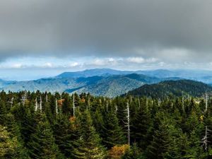 Wisata Alam dan Taman Nasional Terpopuler di Amerika Serikat