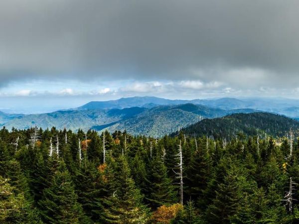 Wisata Alam dan Taman Nasional Terpopuler di Amerika Serikat
