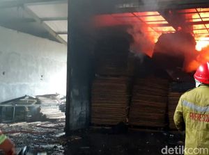 Api Lalap Pabrik Pengolahan Kayu di Sukabumi